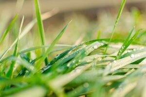 Proč bysme měli pít vodu: Význam hydratace pro zdraví 33 Proč bysme měli pít vodu: Význam hydratace pro zdraví