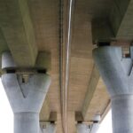 Reishi extrakt 500 mg – Silné podpory pro zdraví 25 Reishi extrakt 500 mg – Silné podpory pro zdraví