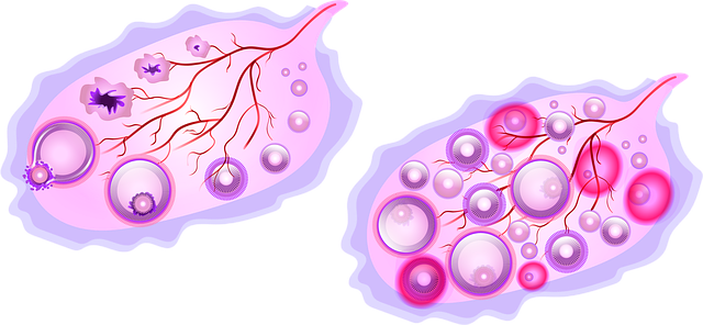 Bilkový hlen: Význam při ovulaci a těhotenství