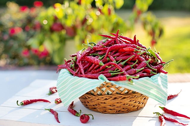Ohřejte si chuťové pohárky: Jak chilli papričky probouzejí smysly?