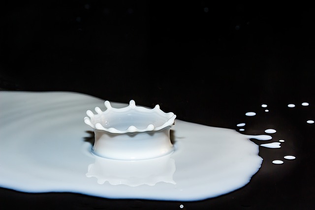 Důležitost mléčných výrobků pro zdravý život