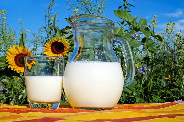 3. Mléko jako zdroj živin: kolik bílkovin, vitaminů a minerálů obsahuje?