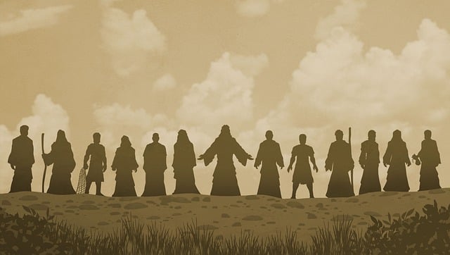 Sbíráte ucho jidáše? Ověřte, co se za tím skrývá 5 Jak sbírat ucho jidáše eticky a respektující přístup?