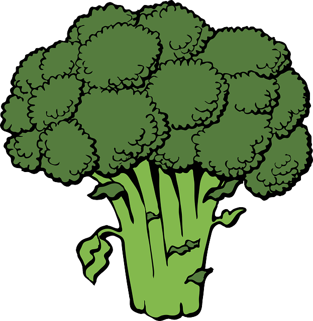 Brokolice jako prevence vážných onemocnění – vědecky potvrzené účinky