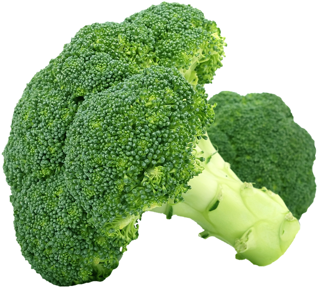 Jak zařadit brokolici do naší každodenní stravy a získat maximum zdravotních výhod