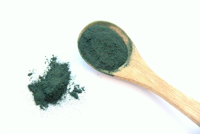 2. Výhody ⁤spiruliny jako krmiva pro ryby Ancistrus: Zlepšení výživy a zdraví