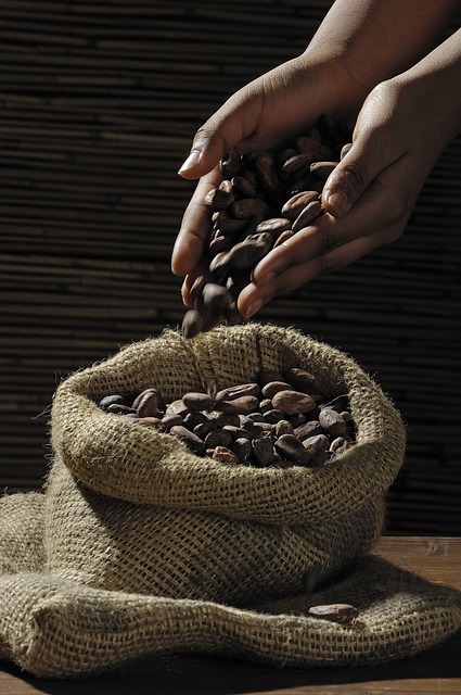 1. Proč jsou kakaové boby bio raw značky‌ Allnature ideálním zdravým pamlskem?