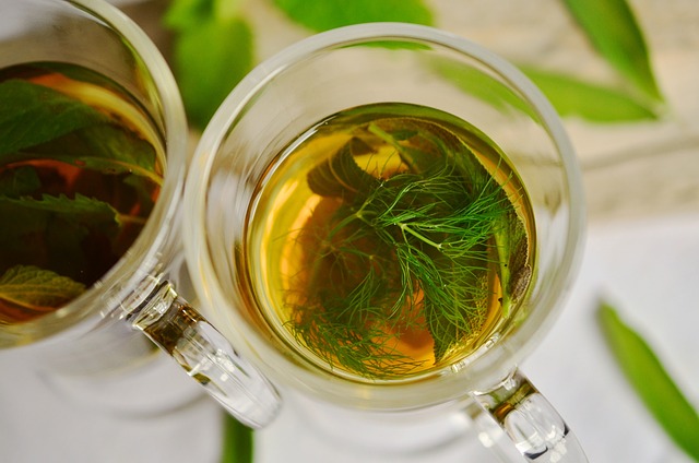 Pozitivní účinky fenyklového čaje na zdraví