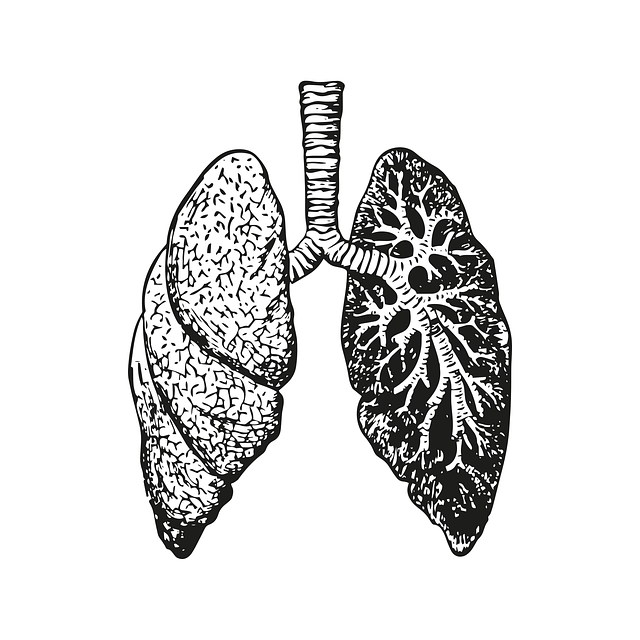 - Nejčastější faktory oslabující plíce a jejich negativní vliv