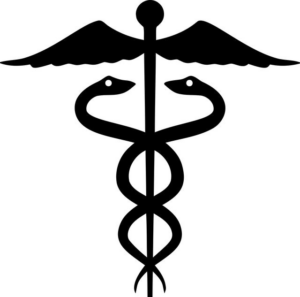 Lékárníci a jejich požadavky na ekonomickou stabilitu lékáren 2 Lékárníci a jejich požadavky na ekonomickou stabilitu lékáren