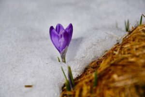 8 kroků pro zdravá střeva: Naučte se péči o svůj střevní systém