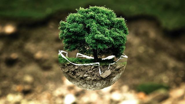 5. Ekologické aspekty Jinanu dvoulaločného: Udržitelnost a snížení dopadu na životní prostředí