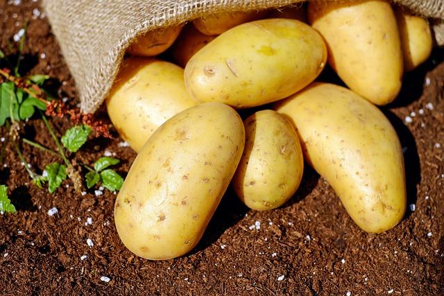 Co dělat, když ‍jsou brambory převařené: Rady a ‍nápady na ⁢záchranu pokrmu