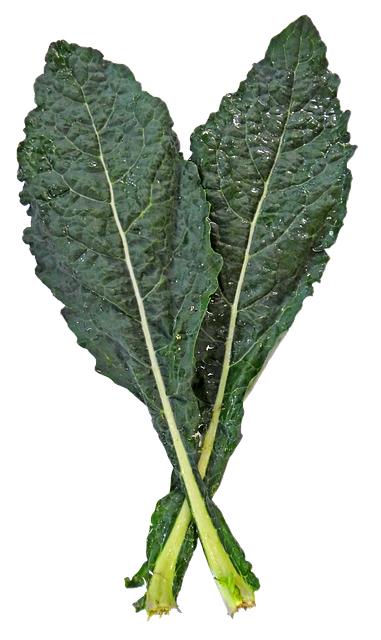 Black Kale verze pho polévky: Inovativní způsob podávání tradičních chutí