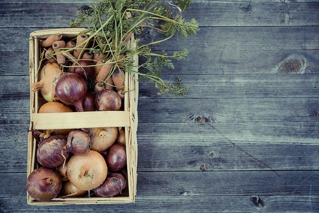 Plusy a mínusy konzumace kari mrkvové pomazánky: proč si ji dopřát a jak správně skladovat