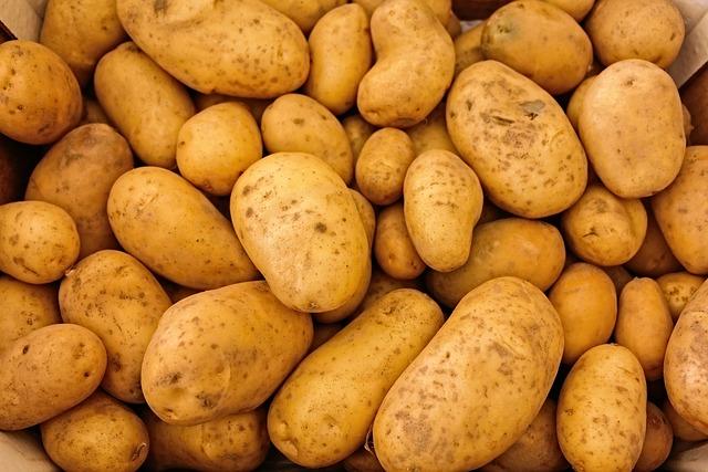 Jaký je vliv velikosti brambor na dobu vaření