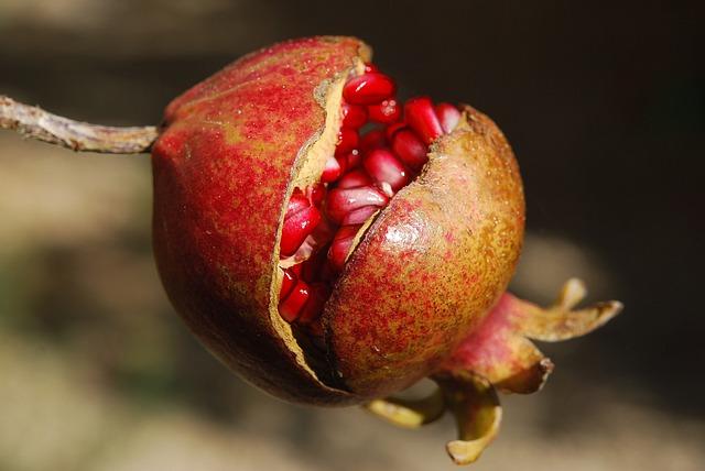 Granátové jablko: Superpotravina pro zdraví srdce a cévy