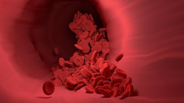 Čištění krve: Jak přirozeně očistit krev a podpořit detoxikaci těla