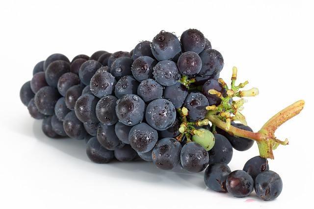 Vinná réva: Zdravotní benefity červeného vína a hroznů
