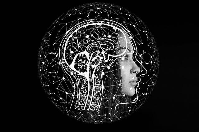 Neuroplasticita: Jak využít mozku k uzdravení a posílení paměti
