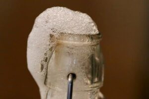 Kombucha násada ml: Jak připravit domácí nápoj plný prospěšných bakterií
