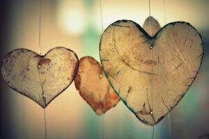Ashwagandha a srdce: Jak bylina podporuje kardiovaskulární zdraví