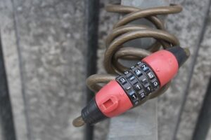 Kombinace ašvagandy a brahmi: Dvojice pro duševní klid 5 Kombinace ašvagandy a brahmi: Dvojice pro duševní klid