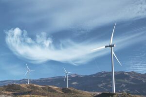Ašvaganda a Guarama: Duo pro energii a vitalitu 8 Ašvaganda a Guarama: Duo pro energii a vitalitu