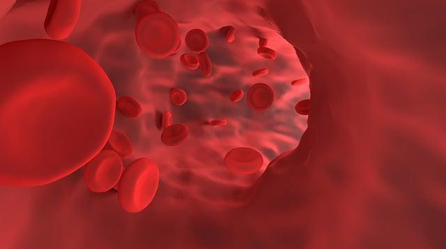 Hemoglobin: Funkce a význam‍ v těle